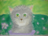 Thomazin Age:8 (pastel)